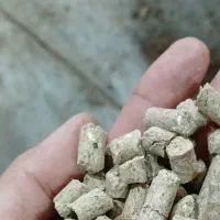 کیفیت بالا پرواری اقتصادی داشتی بره گوسفند