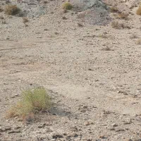فروش زمین ۳۰۰ متری