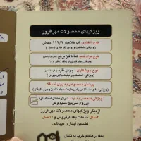 لوستر|لوستر و چراغ آویز|تهران, سوهانک|دیوار