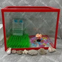 اکواریوم۳۳×۴۰باقاب قرمز