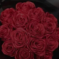 گل ربانی عمر طولانی و نصف قیمت|گل مصنوعی|شیراز, ریاستی|دیوار