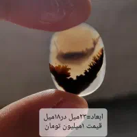 کلکسیون عتیقه سنگ شجر معاوضه با انگشتر شجر زبرجد|کلکسیون اشیاء عتیقه|زنجان, |دیوار