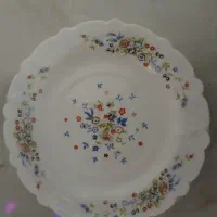 بشقاب پلو خوری