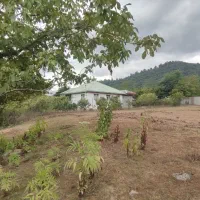 236-متر-زمین-کوهپایه-آلیان