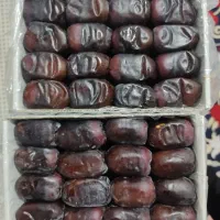 فروش خرما مضافتی