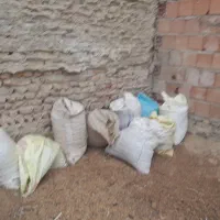 کود گوسفندی|خدمات باغبانی و درختکاری|گرگان, |دیوار