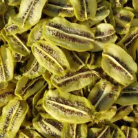 استخدام دایمی با بیمه