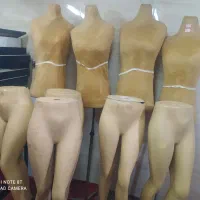 مانکن