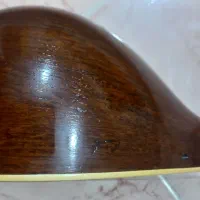 سه تار حرفه ای استاد بهنام کریمی|سازهای سنتی|همدان, |دیوار