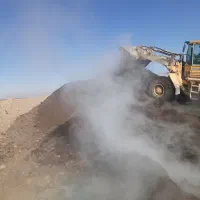 کود گاوی، و گوسفندی. پوسیده شده