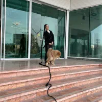 خدمات بافتمو (راپونزل بجنورد)