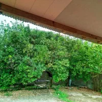 خانه ویلایی در محیطی دنج و آرامش.با قابلیت تبدیل