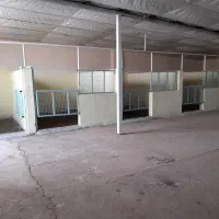 پانسیون اسب و اجاره باکس