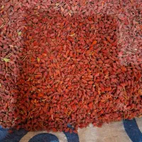 زرشک پفکی