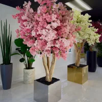 دیزاین درختچه