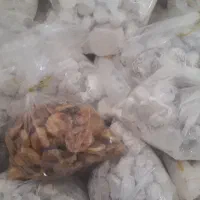 انجیرریجاب