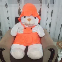 خرس درحدنو