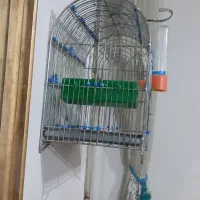 قفس عالی سهره