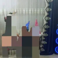 پرده توری سالن والان دار|پرده، رانر، رومیزی|چهاردانگه (تهران), |دیوار