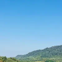 اگه دنبال زمین خوش اب هوا هستی حتما این زمینو ببین|فروش زمین و ملک کلنگی|شفت, |دیوار