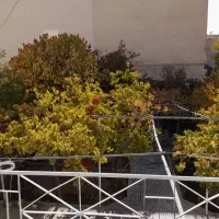 آپارتمان فردوسی ۳۸۰متر تک واحدی|اجارهٔ آپارتمان|شاهین‌شهر, فردوسی|دیوار