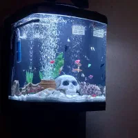 اکواریوم شرکتی آب شیرین و شور