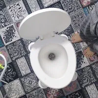 توالت فرنگی