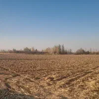 اجاره زمین کشاورزی درمیاندوآب.