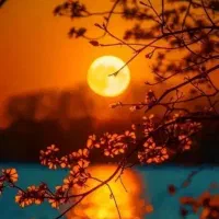 راهنمایی درباره زندگی شادتر