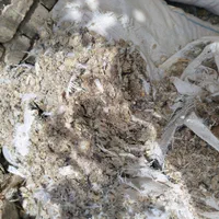 زل کبوتر|خدمات باغبانی و درختکاری|اصفهان, ارغوانیه|دیوار