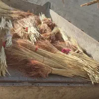 جارو|لوازم نظافت|زاغه, |دیوار