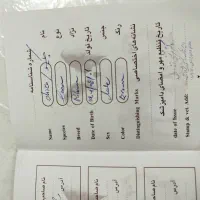 سگ سه ماه .|سگ|ری, دیلمان|دیوار