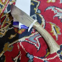 چاقو دست شاخ