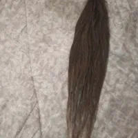 150شاخه مو طبیعی
