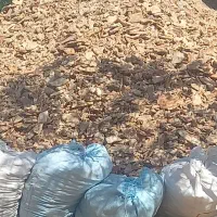 نان خشک تمیز کسی خواست در خدمتم