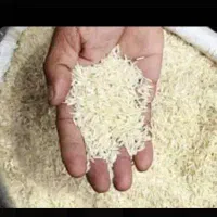 فروش ۴۰۰کیلو برنج هاشمی درجه۱