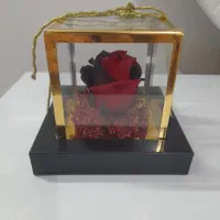 گل رز جاودان