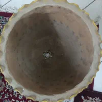 گلدون|گل و گیاه طبیعی|تهران, نازی‌آباد|دیوار