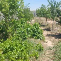 زمین-مناسب-کارهای-تولیدی-و-باغ
