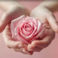 جشنواره لابیاپلاستی لیزری واژینوپلاستی پرینورافی
