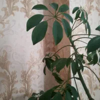 منزل در شهر اردبیل