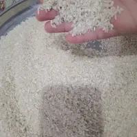 از تولید به مصرف برنج خوشبحت و با کیفیت خوزستان