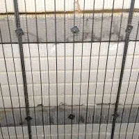 نصب رابیتس روی دیوار .سقف .ستون.با تفنگ هیلتی|خدمات پیشه و مهارت|شیراز, ابیوردی|دیوار