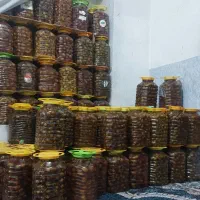 ترشی ریزوشکم پر|خوردنی و آشامیدنی|شیراز, فرهنگیان|دیوار