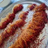 دختر پیچ گزیگ و سوپر نگین اصل