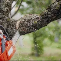 کاربا اره برقی و بنزینی،علفزدایی،باغچه،هرس  درختان