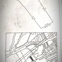 زمین زراعی و باغی