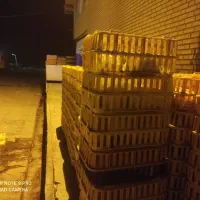 استخدام نیرو آقاکشتارگاه صنعتی مرغ بیهق