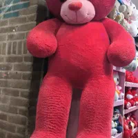 خرس ولنتاین