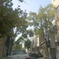 سه واحد نقلی مجزا|فروش آپارتمان|مشهد, ابوذر|دیوار